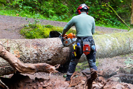 Quelle est la tenue réglementée des Bûcheron et Forestier ?